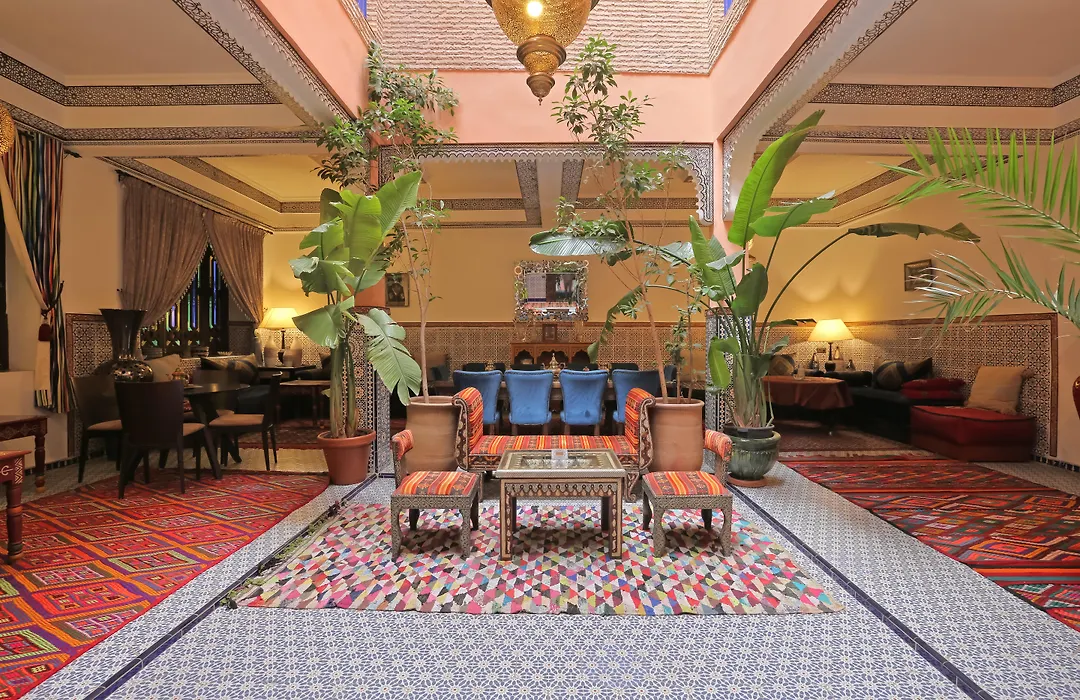 Riad Blue Eyes-1